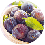 プルーン分解物