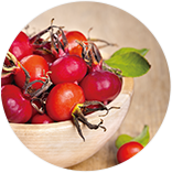 カニナバラ果実油(ローズヒップオイル)