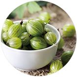 アンマロク果実エキス(アムラエキス)