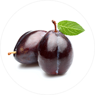 プルーン